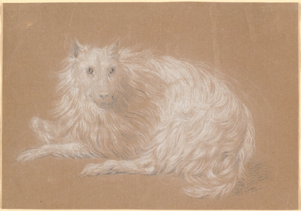 Un cane a pelo lungo sdraiato da Nicolai Abildgaard