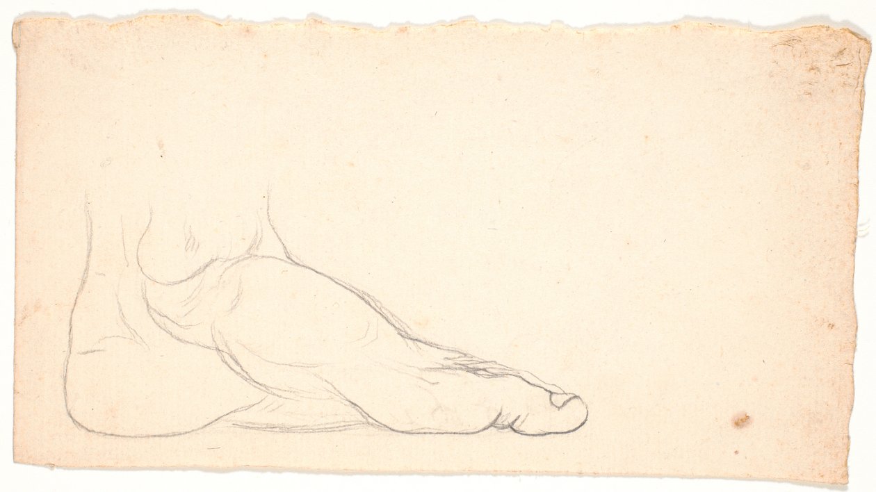 Schizzo di piede visto di lato. Tallone a sinistra. da Nicolai Abildgaard