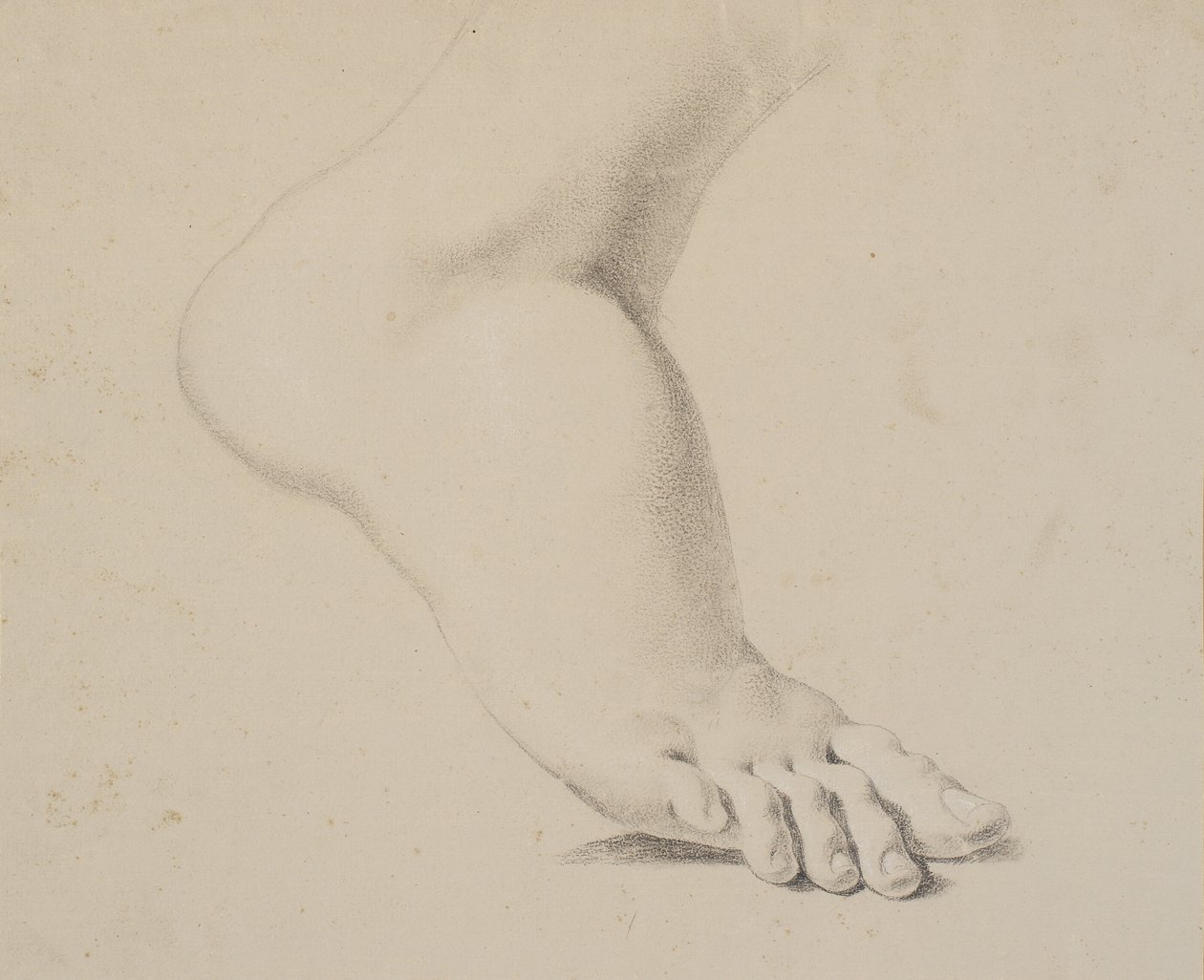 Studio di un piede da Nicolai Abildgaard