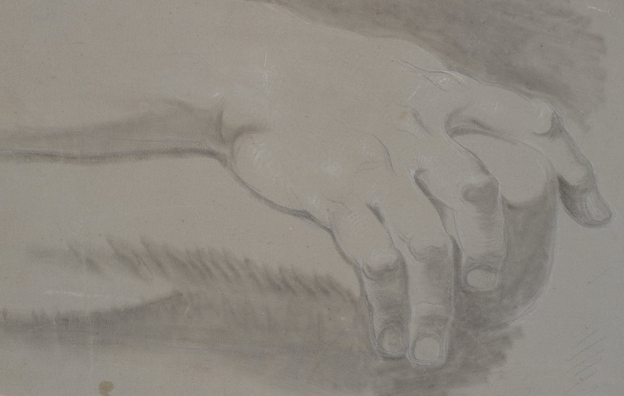 Studio di una mano da Nicolai Abildgaard