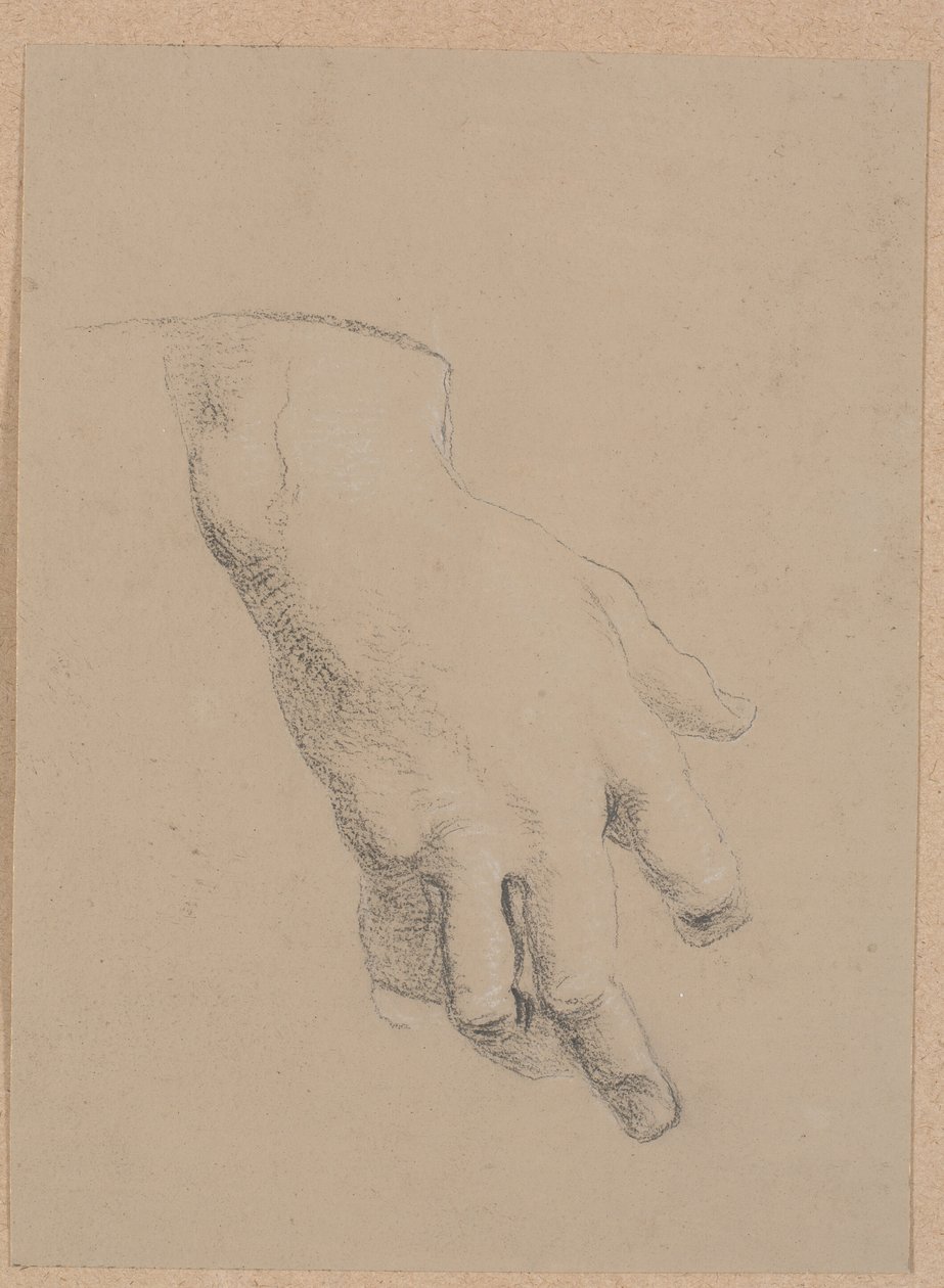 Studio di una Mano da Nicolai Abildgaard