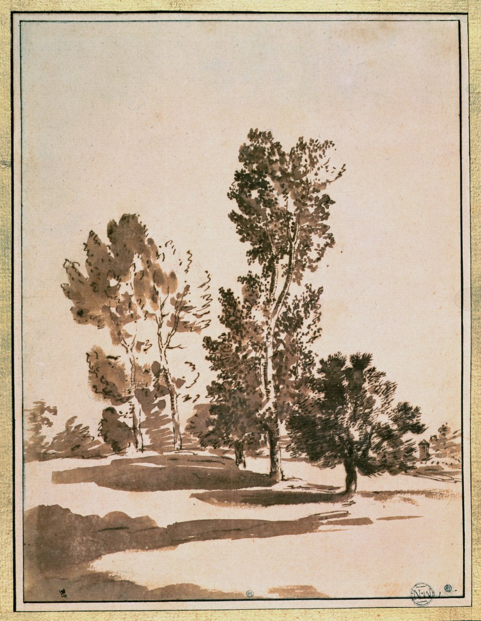 Studio di un albero da Nicolas Poussin