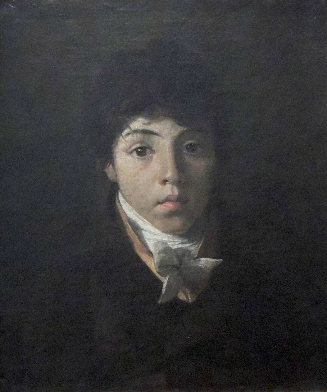 Ritratto del giovane Teodoro Taunay da Nicolas Antoine Taunay