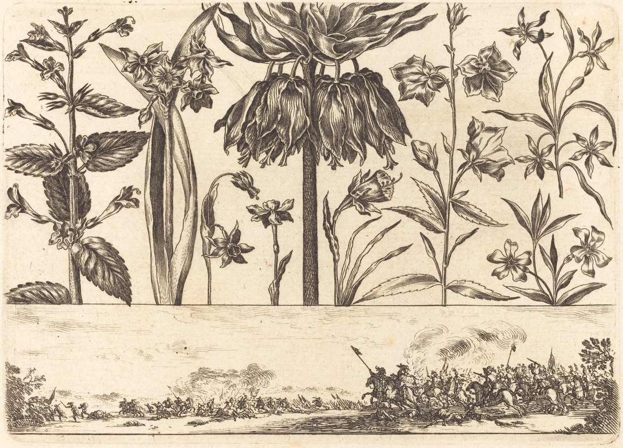Stampa di Fiori n.10 da Nicolas Cochin after Balthasar Moncornet