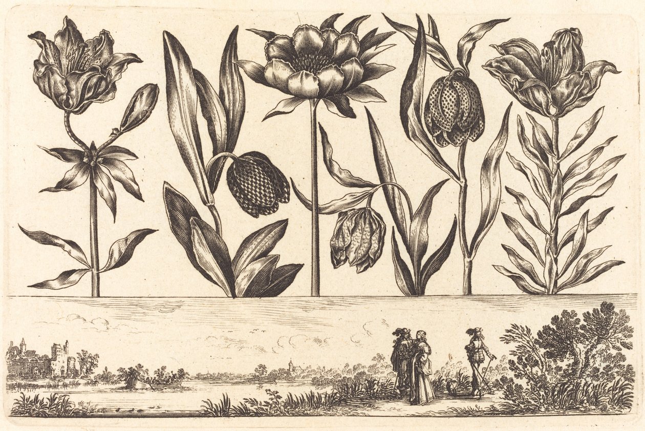 Stampa di fiori n.11 da Nicolas Cochin after Balthasar Moncornet