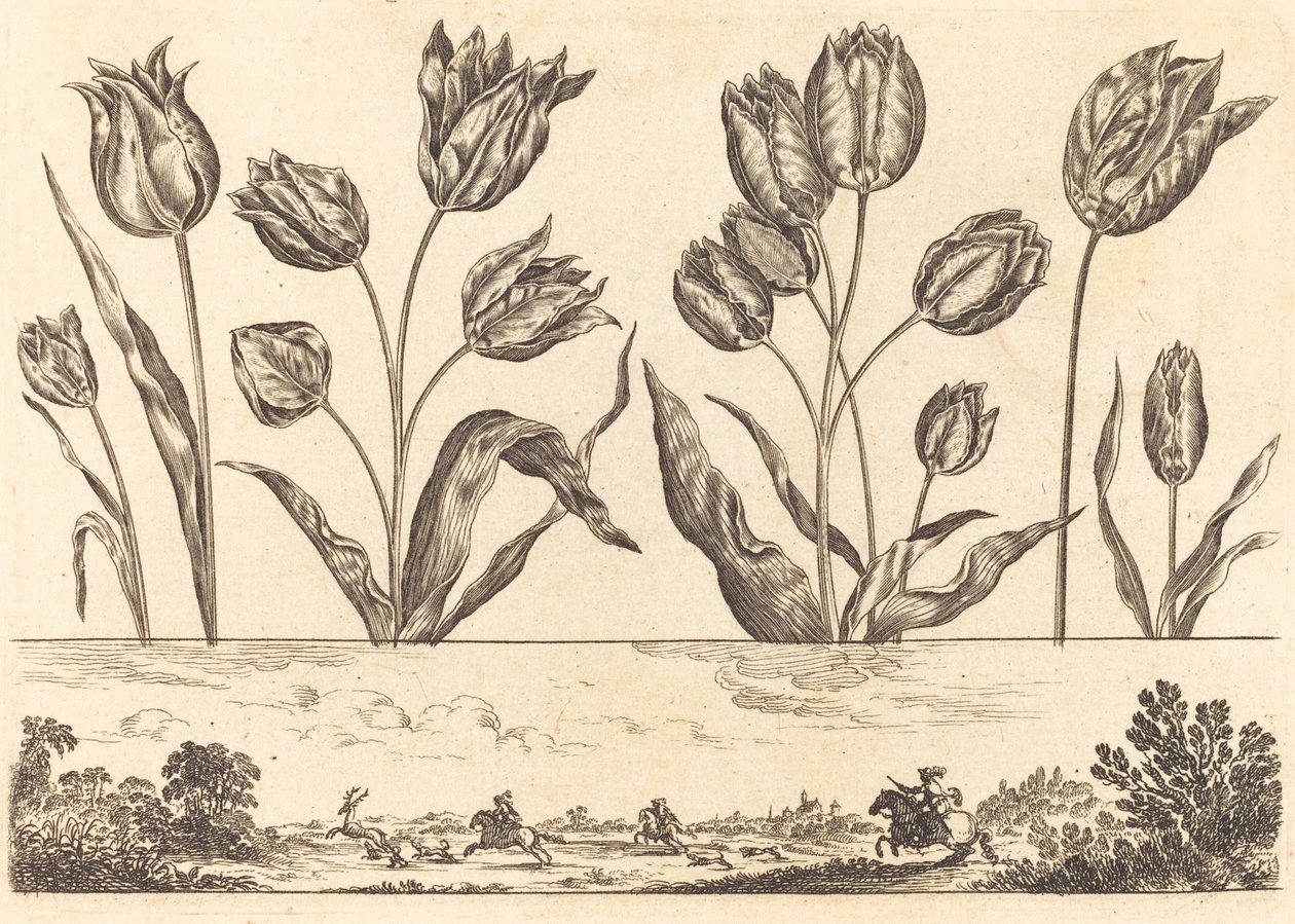 Stampa di fiori n.12 da Nicolas Cochin after Balthasar Moncornet