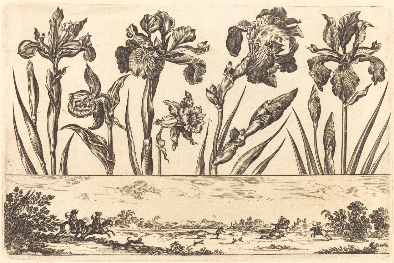 Stampa di fiori n.3 da Nicolas Cochin after Balthasar Moncornet