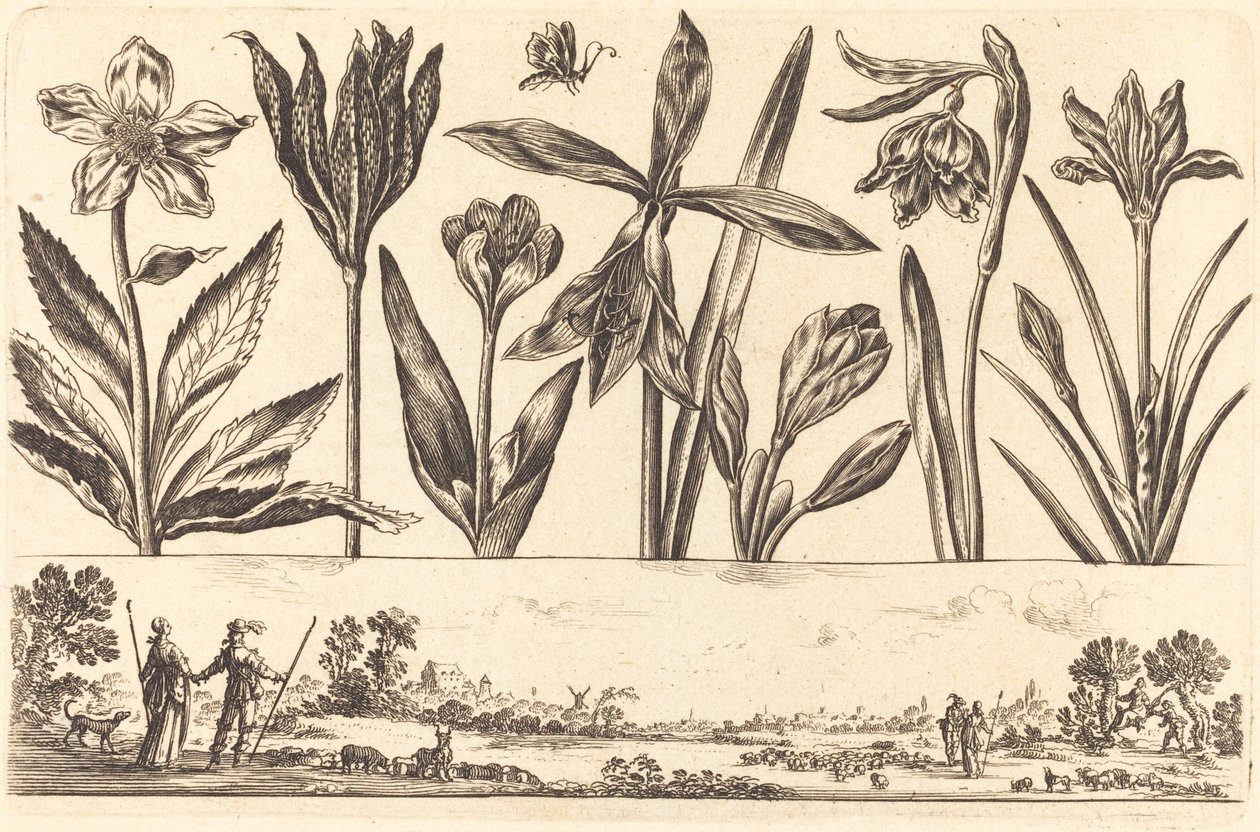 Stampa di fiori n.4 da Nicolas Cochin after Balthasar Moncornet