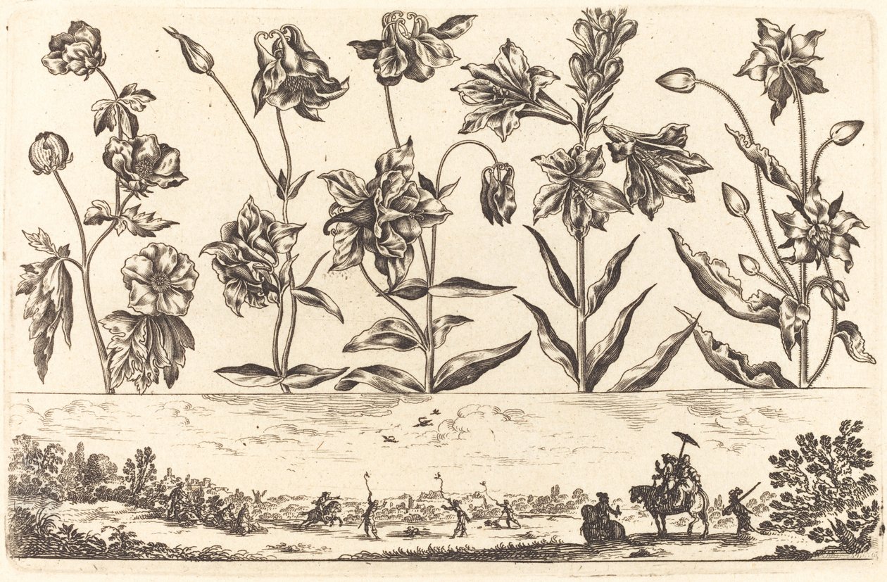Stampa di fiori n.6 da Nicolas Cochin after Balthasar Moncornet