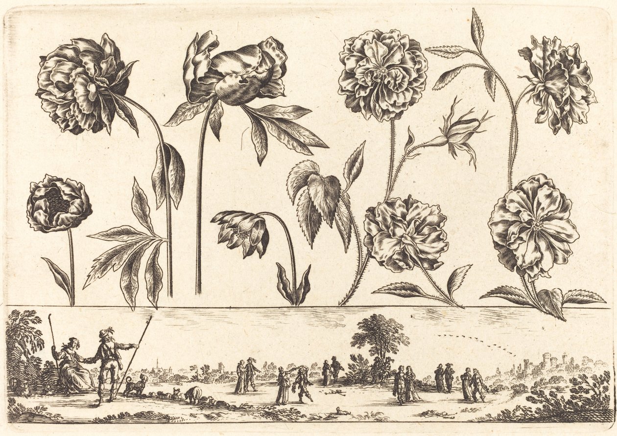 Stampa di Fiori n.7 da Nicolas Cochin after Balthasar Moncornet