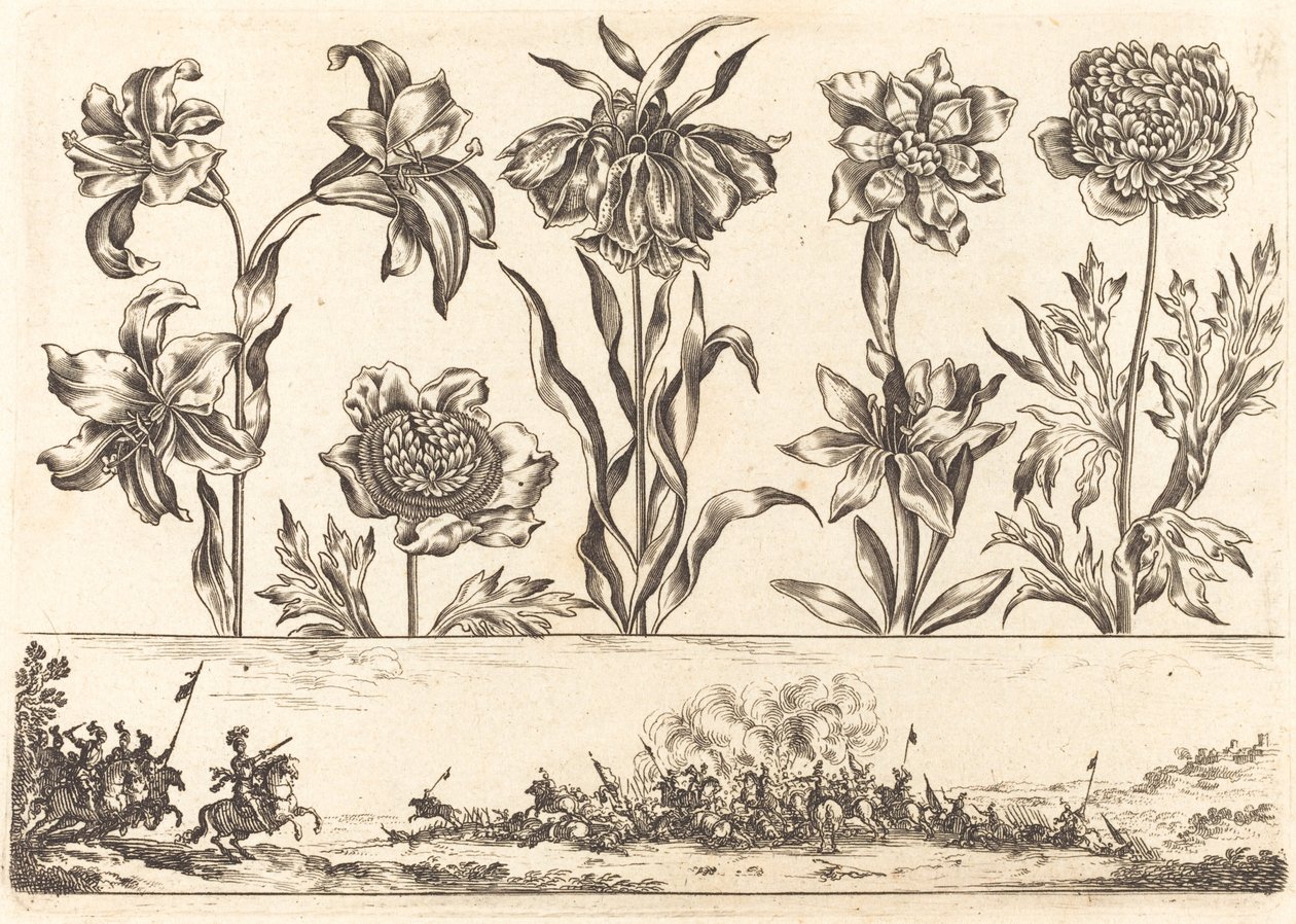 Stampa di fiori n.8 da Nicolas Cochin after Balthasar Moncornet