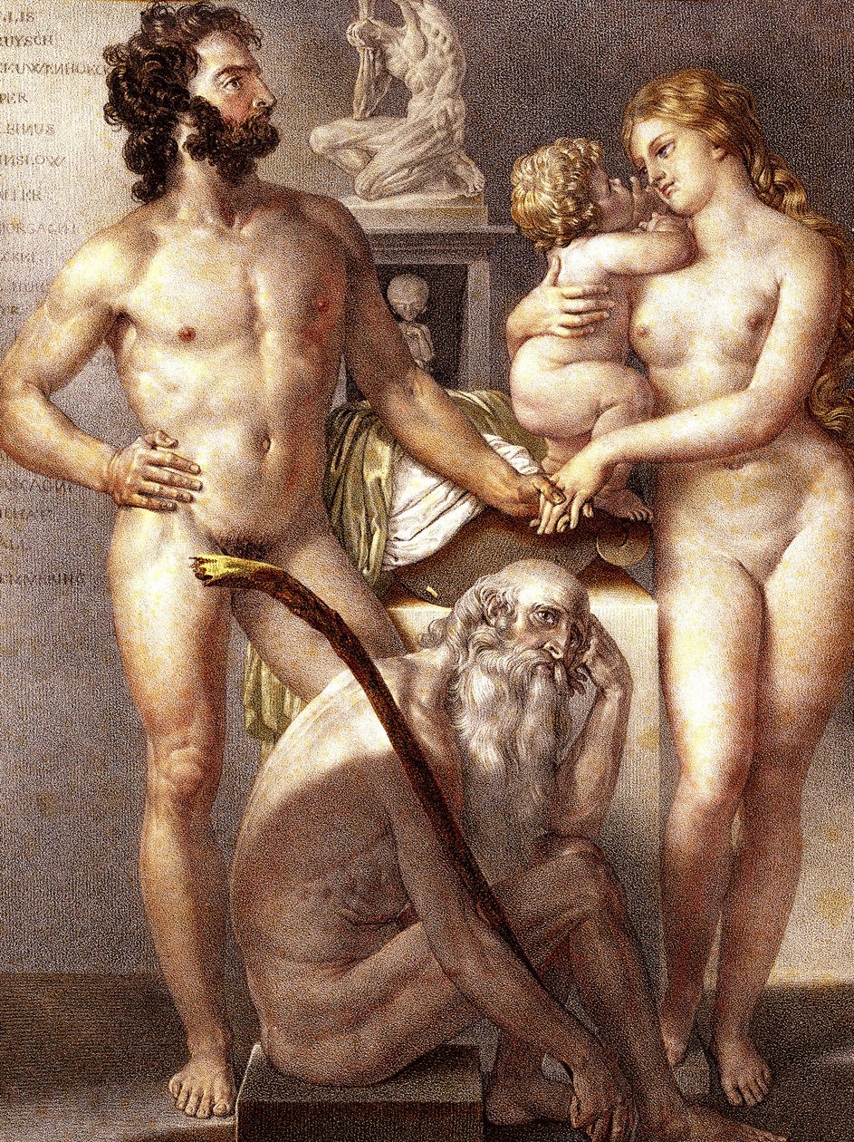 Anatomia dell