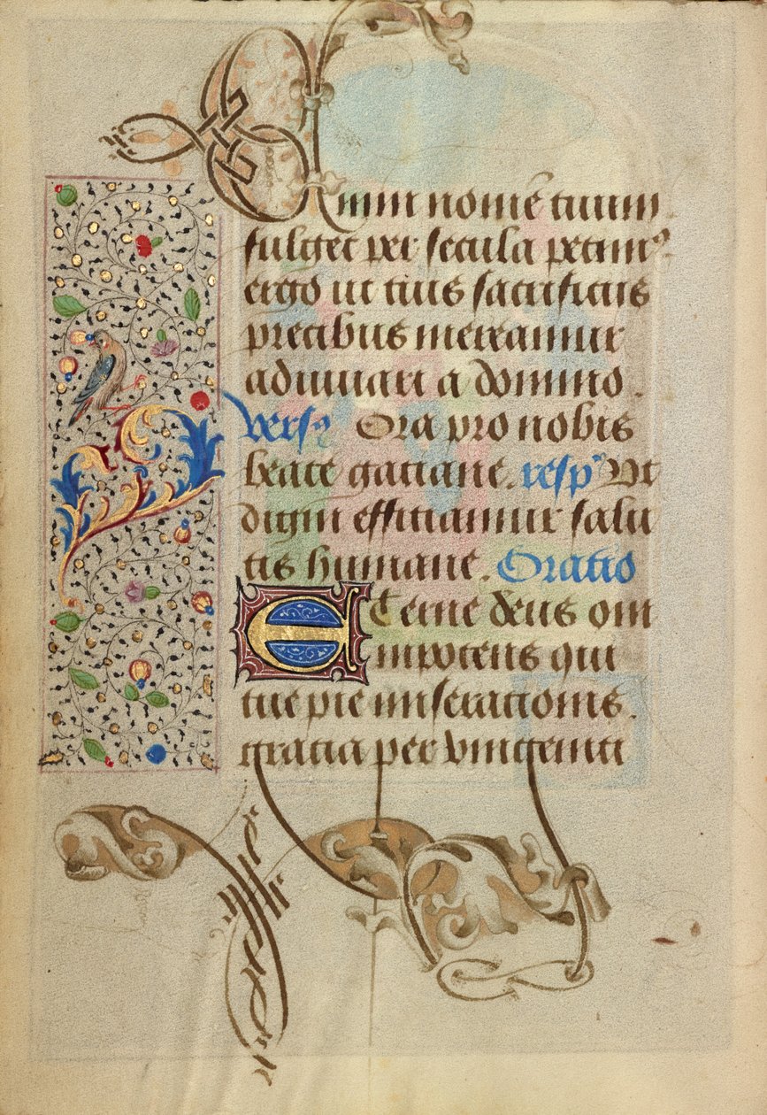 Pagina di testo decorata da Nicolas Spierinc