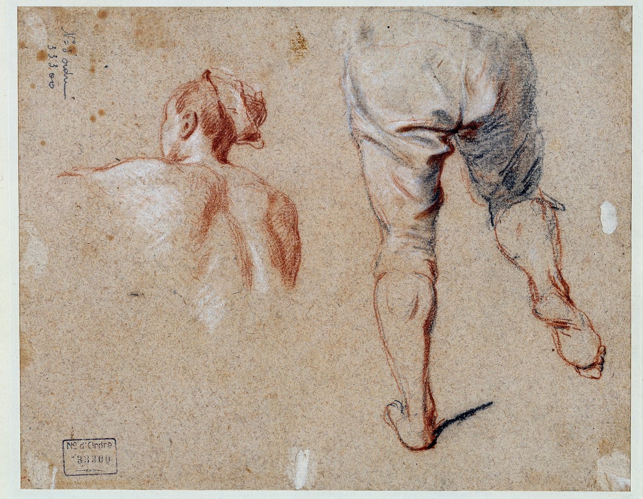 Studio di anatomia da Nicolas Vleughels