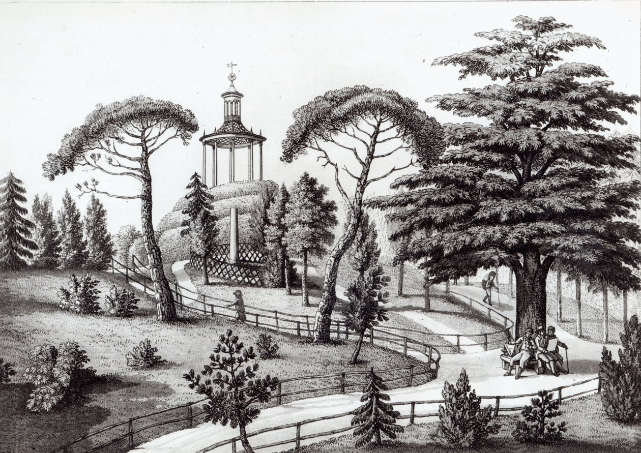 Il Labirinto del Jardin des Plantes, Parigi, inciso da Francois Aubertin (1773-1821) da Nicolas the Younger Huet