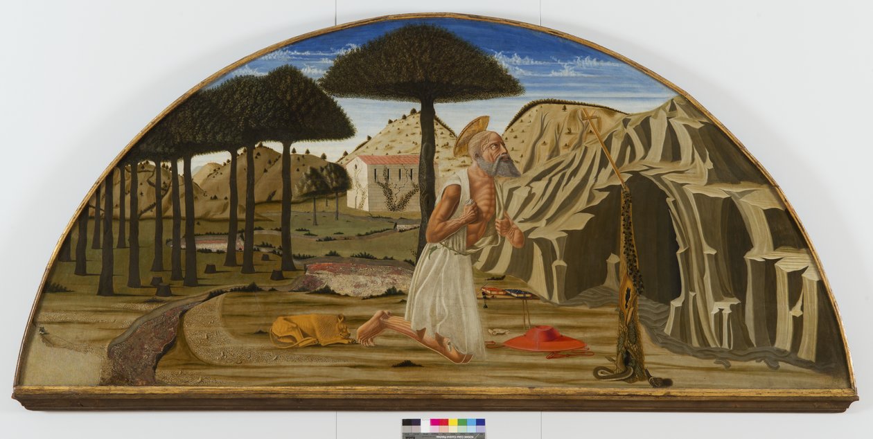 San Girolamo nel deserto da Nicolo di Maestro Antonio dAncona