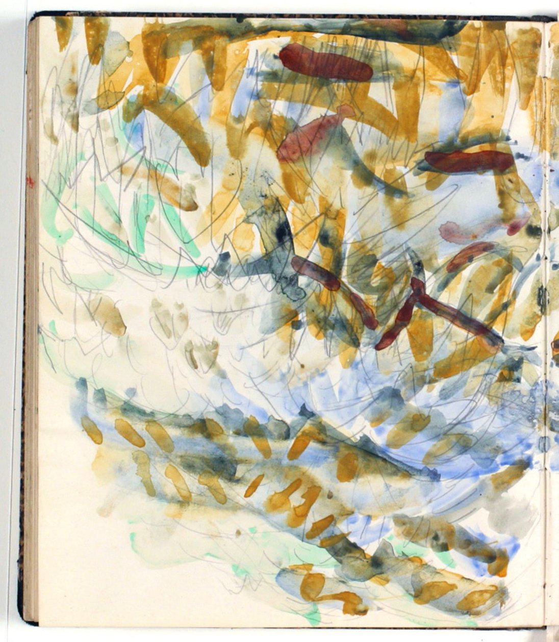 Studio di cespugli da Niels Larsen Stevns