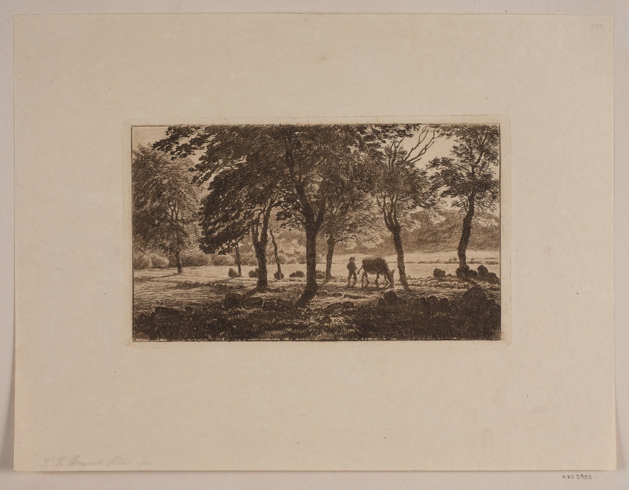 Il viale da Niels Skovgaard