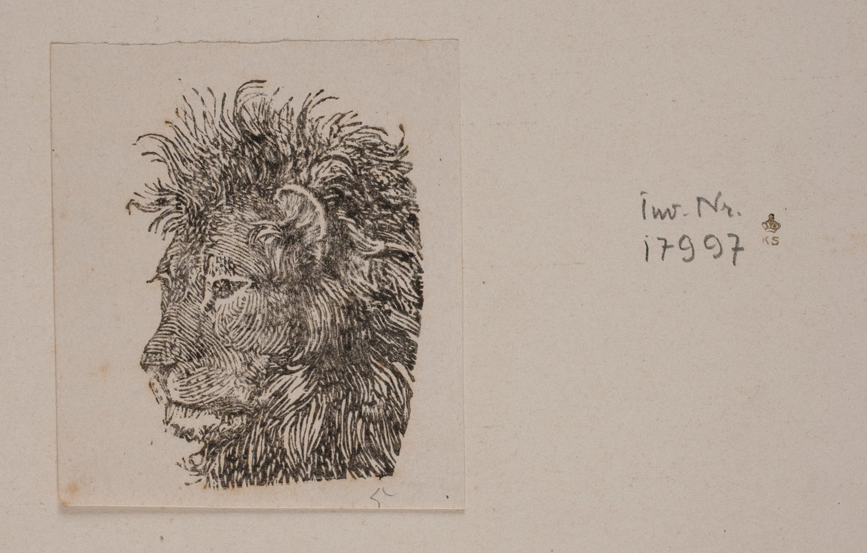 Testa di leone da Niels Skovgaard