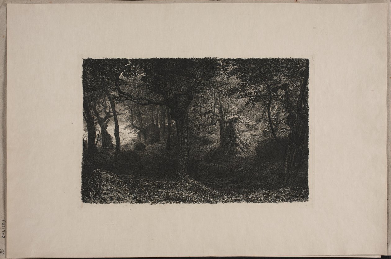 La Foresta dei Troll da Niels Skovgaard