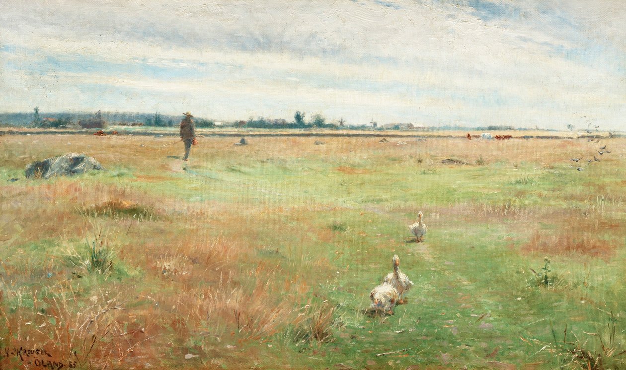 Paesaggio con oche, Morbylanga da Nils Kreuger