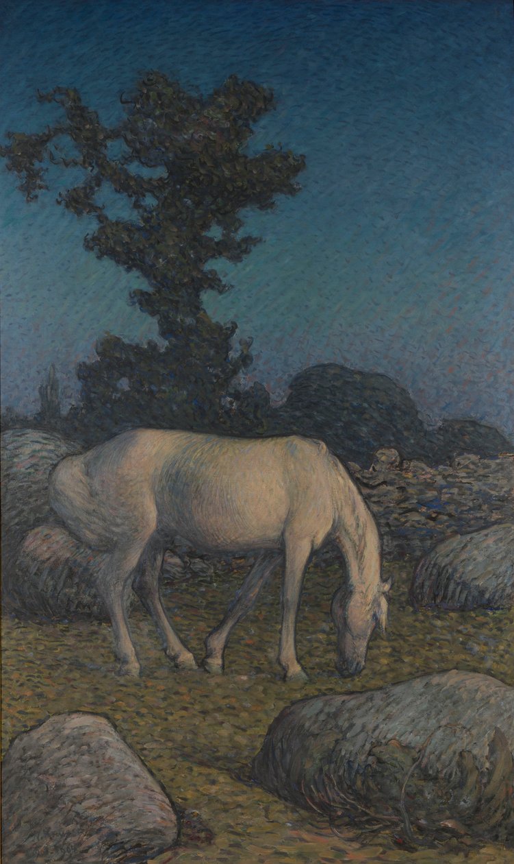 Cavallo bianco al crepuscolo da Nils Kreuger