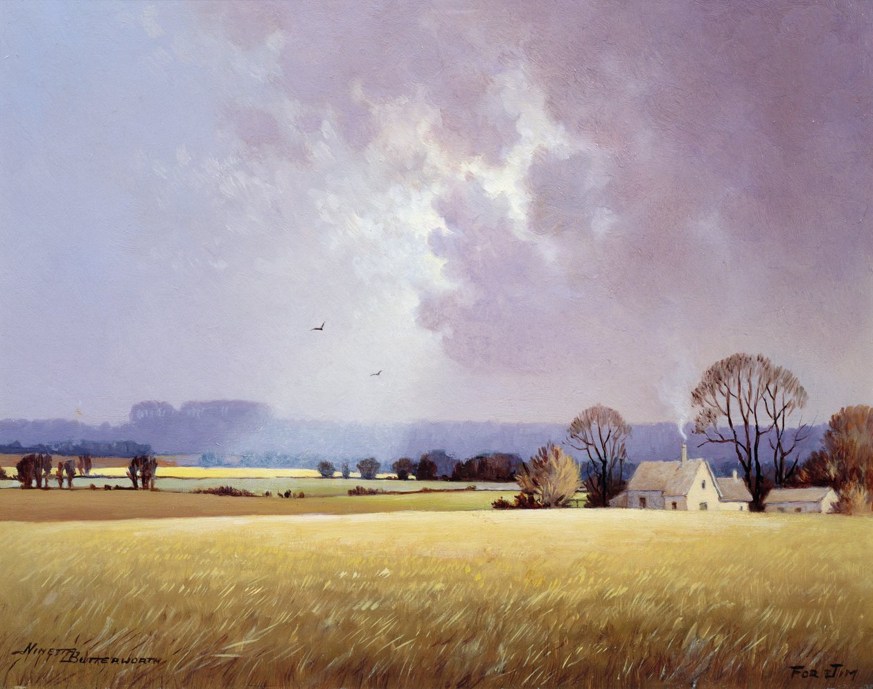 Luce del Sole d