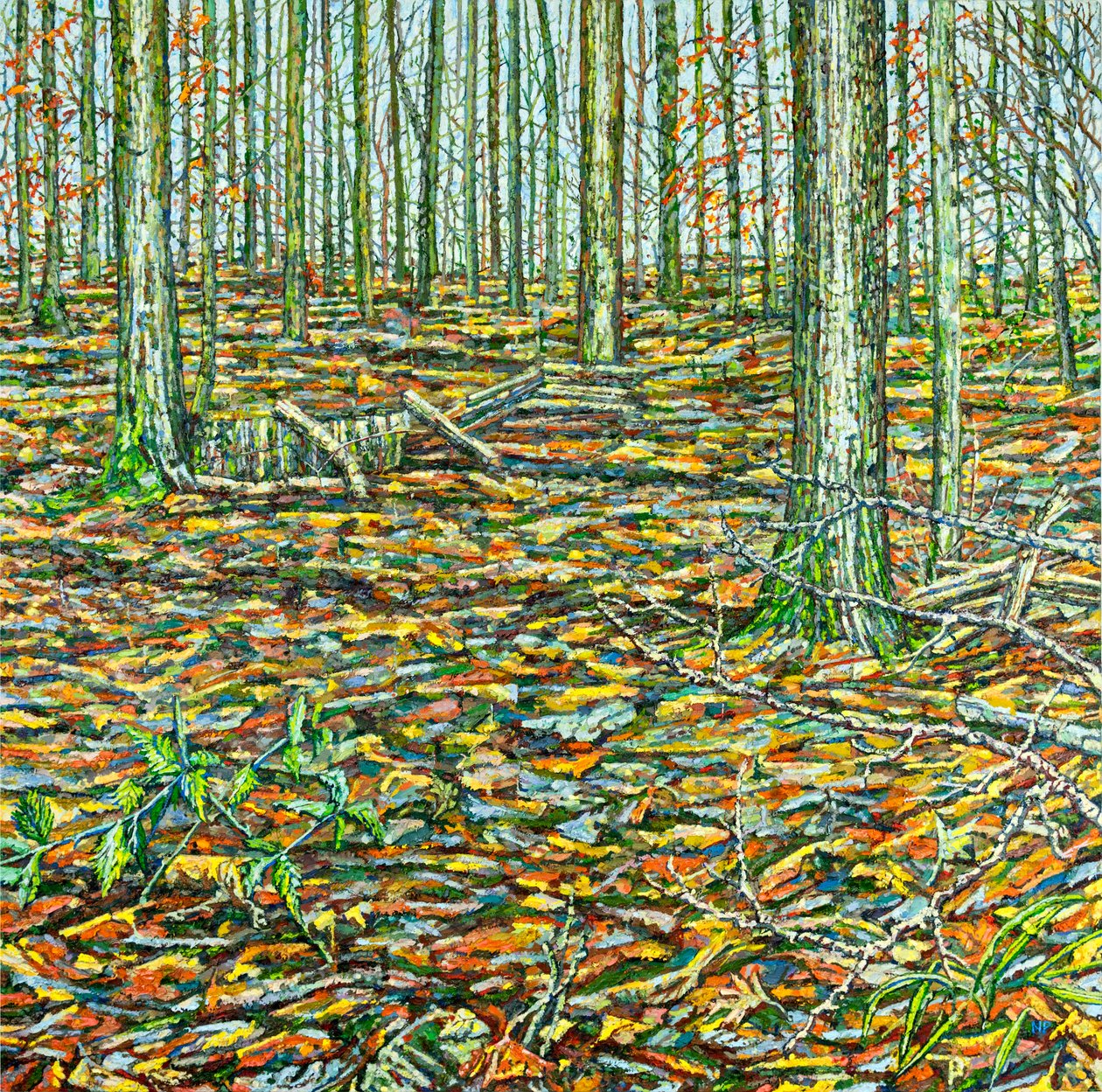 Orches Groundscape, 2023 da Noel Paine