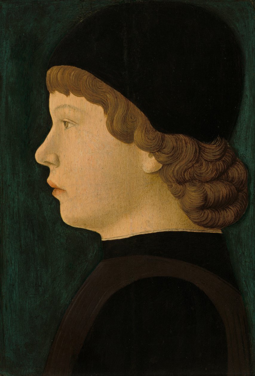 Ritratto di Profilo di un Ragazzo da North Italian 15th Century