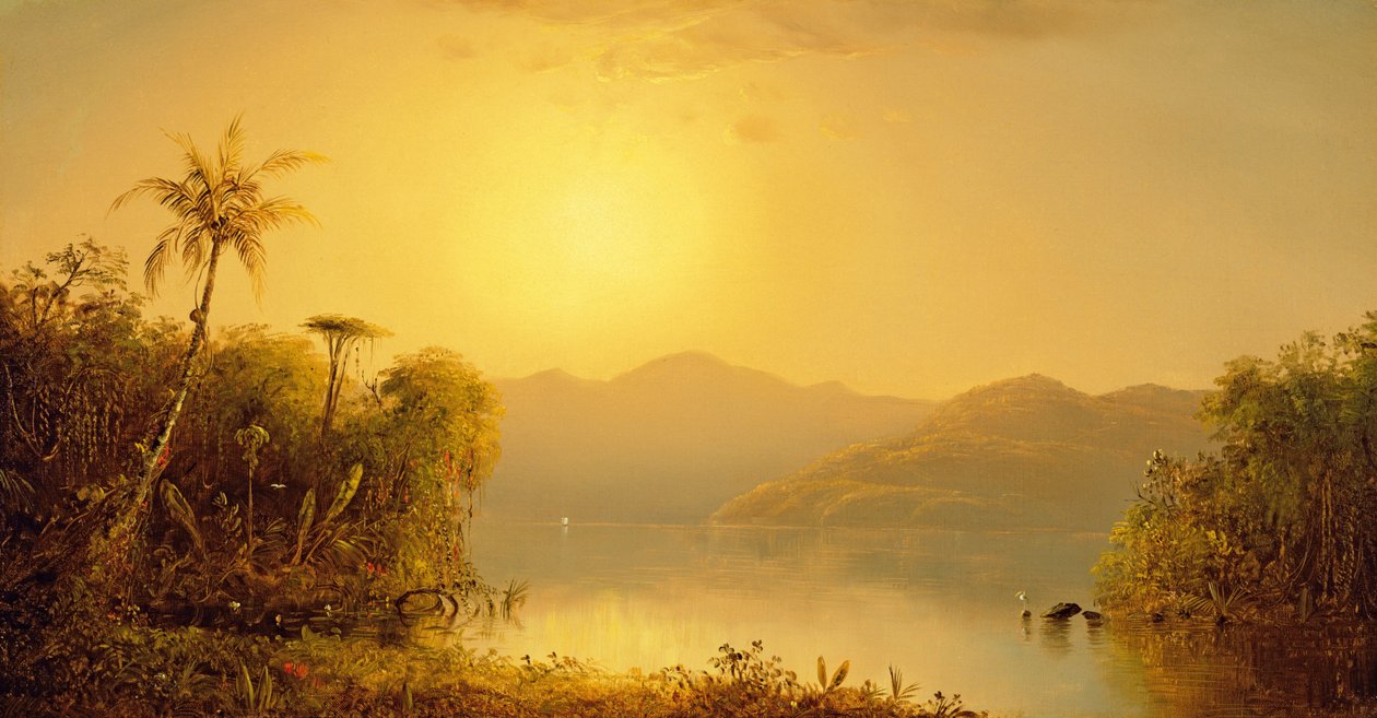 Tropici del Sud America da Norton Bush