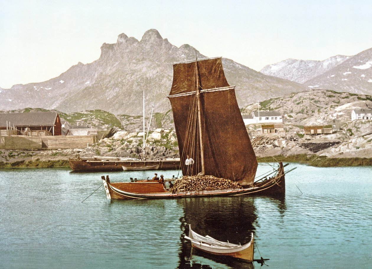Barca Nordland che trasporta un carico di tronchi, Norvegia da Norwegian Photographer