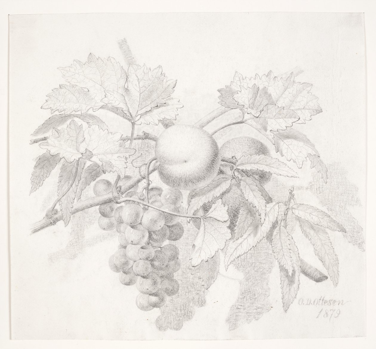 Uva e pesche da O.D. Ottesen