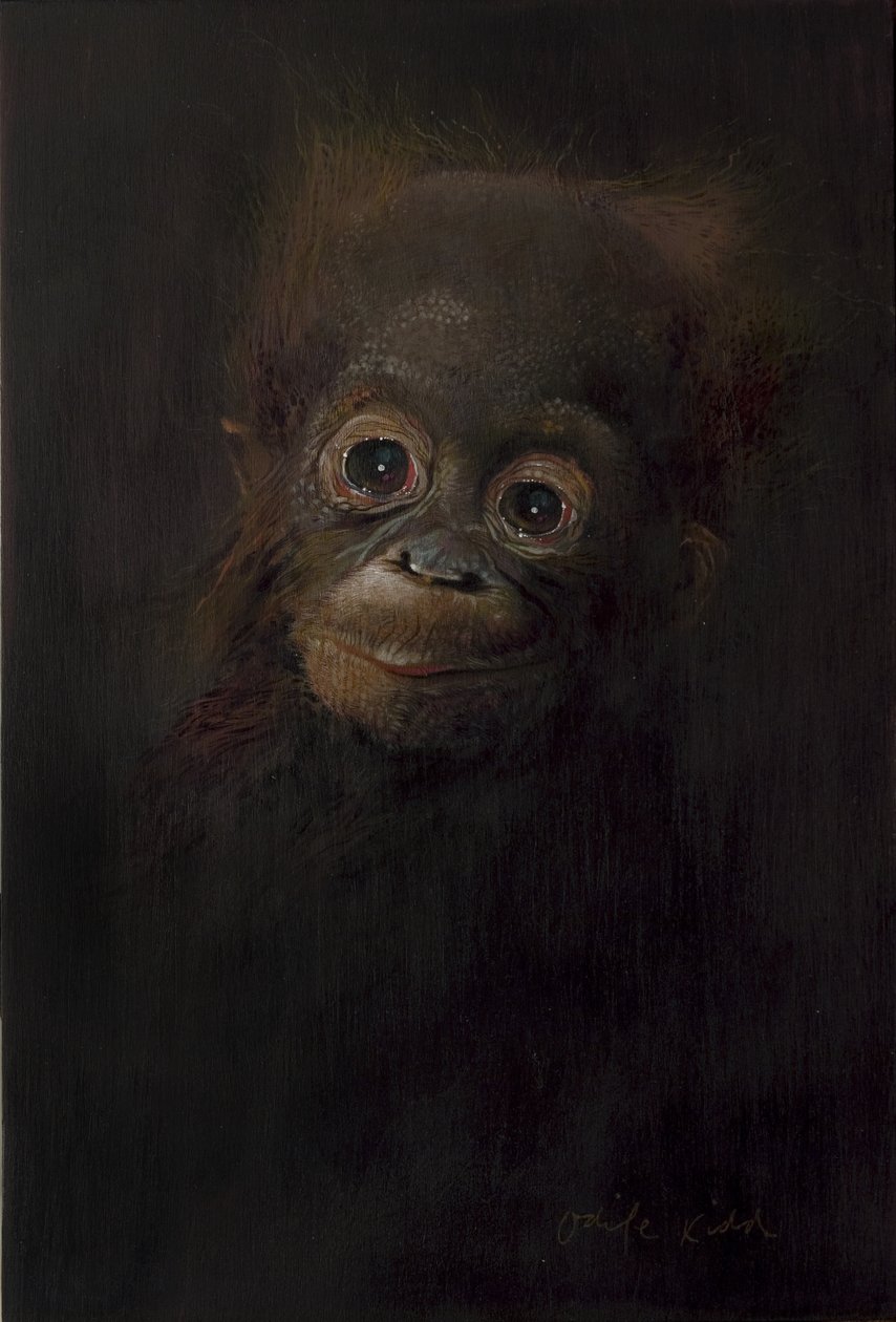 Baby orangutan 1, 2009 (acrilico su legno) da Odile Kidd