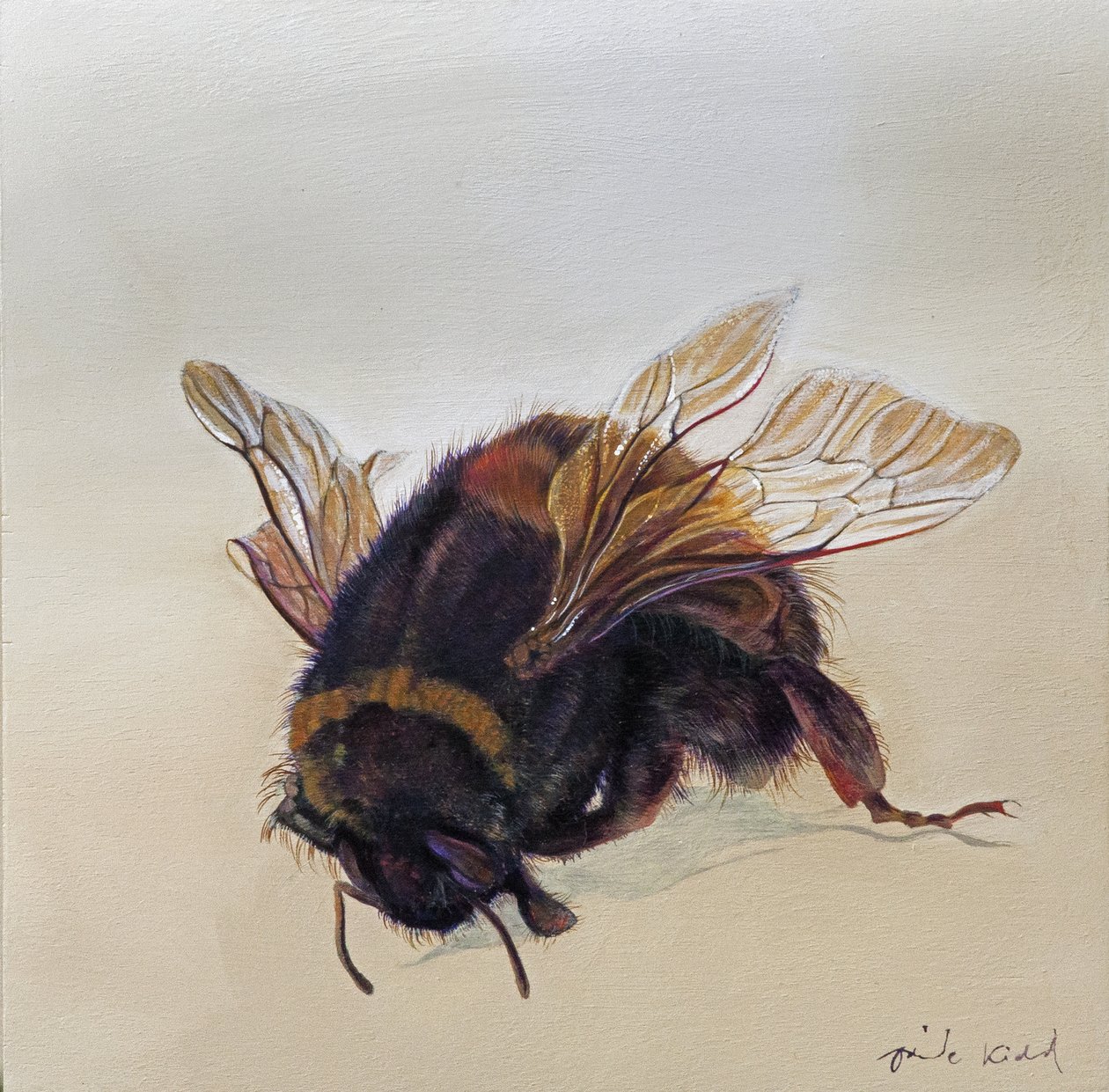 Bombus terrestris 10, 2013 (acrilico su legno) da Odile Kidd