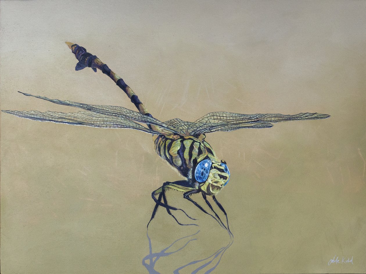 La mosca del drago, 2009 (acrilico su legno) da Odile Kidd