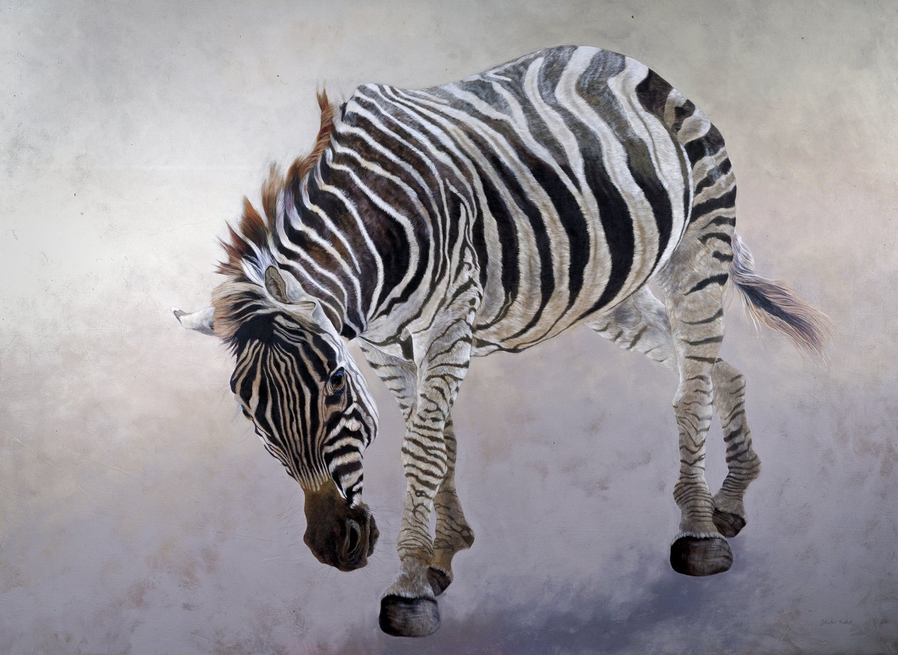 Equus burchelli 2, 2010 (acrilico su tela) da Odile Kidd
