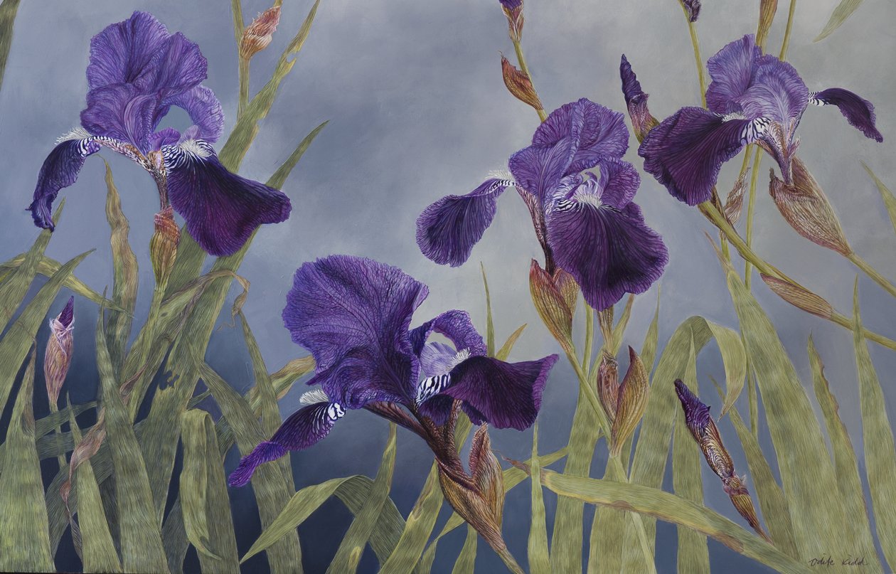 Iris hybrida (dettaglio), 2015 (acrilico su legno gesso) da Odile Kidd