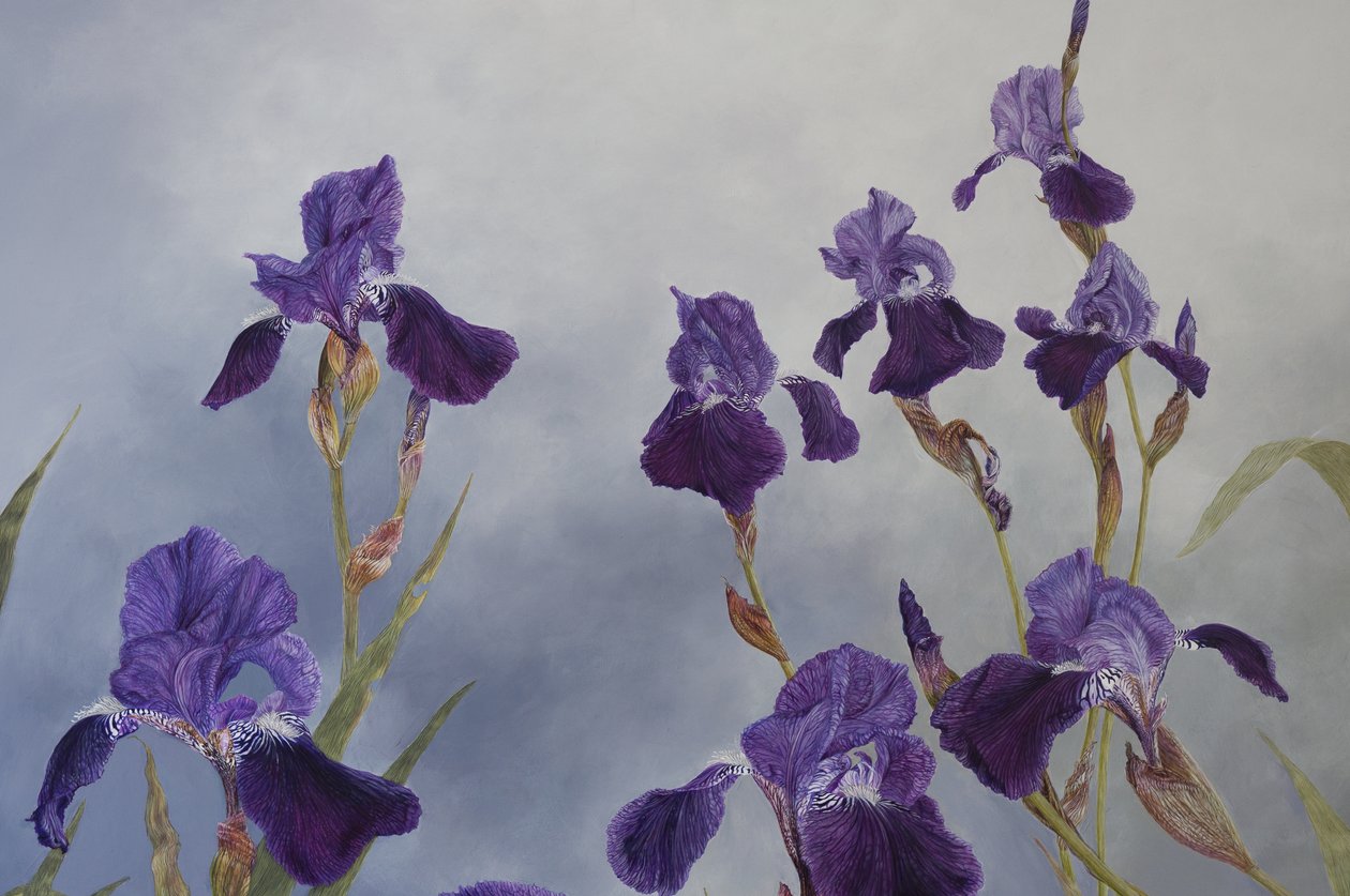 Iris hybrida (dettaglio), 2015 (acrilico su legno gesso) da Odile Kidd