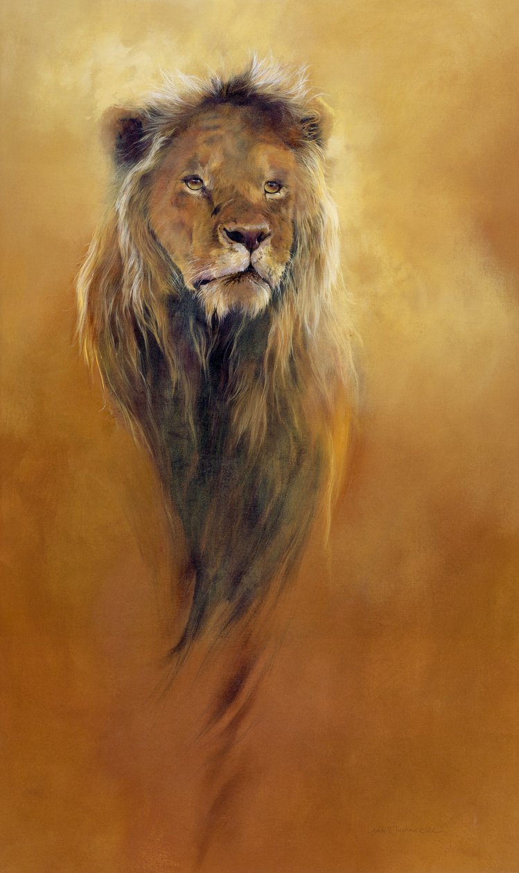 Re Leone, 2000 (acrilico e pastello su tela) da Odile Kidd