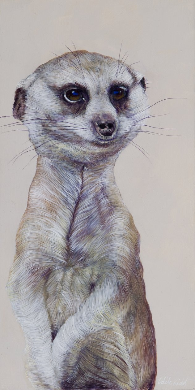 Meerkat 1, 2009 (acrilico su legno) da Odile Kidd