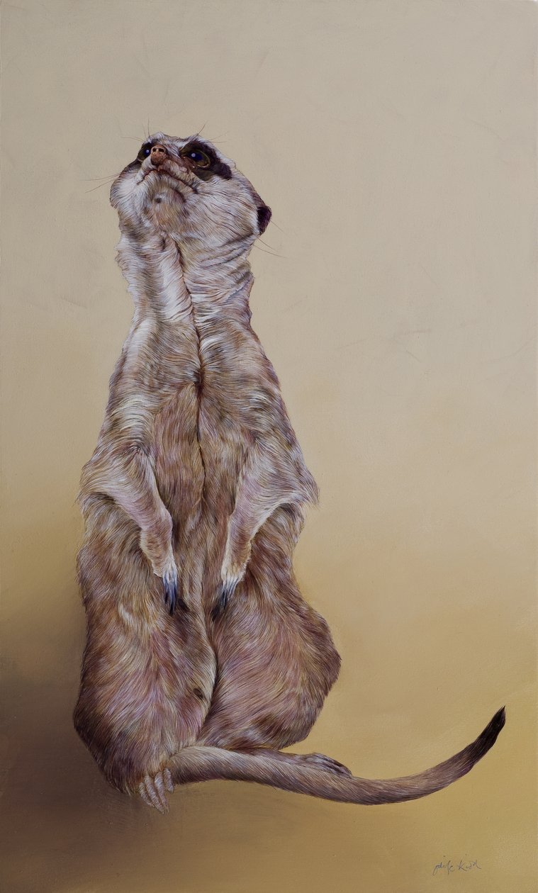 Meerkat 3, 2010 (acrilico su legno) da Odile Kidd