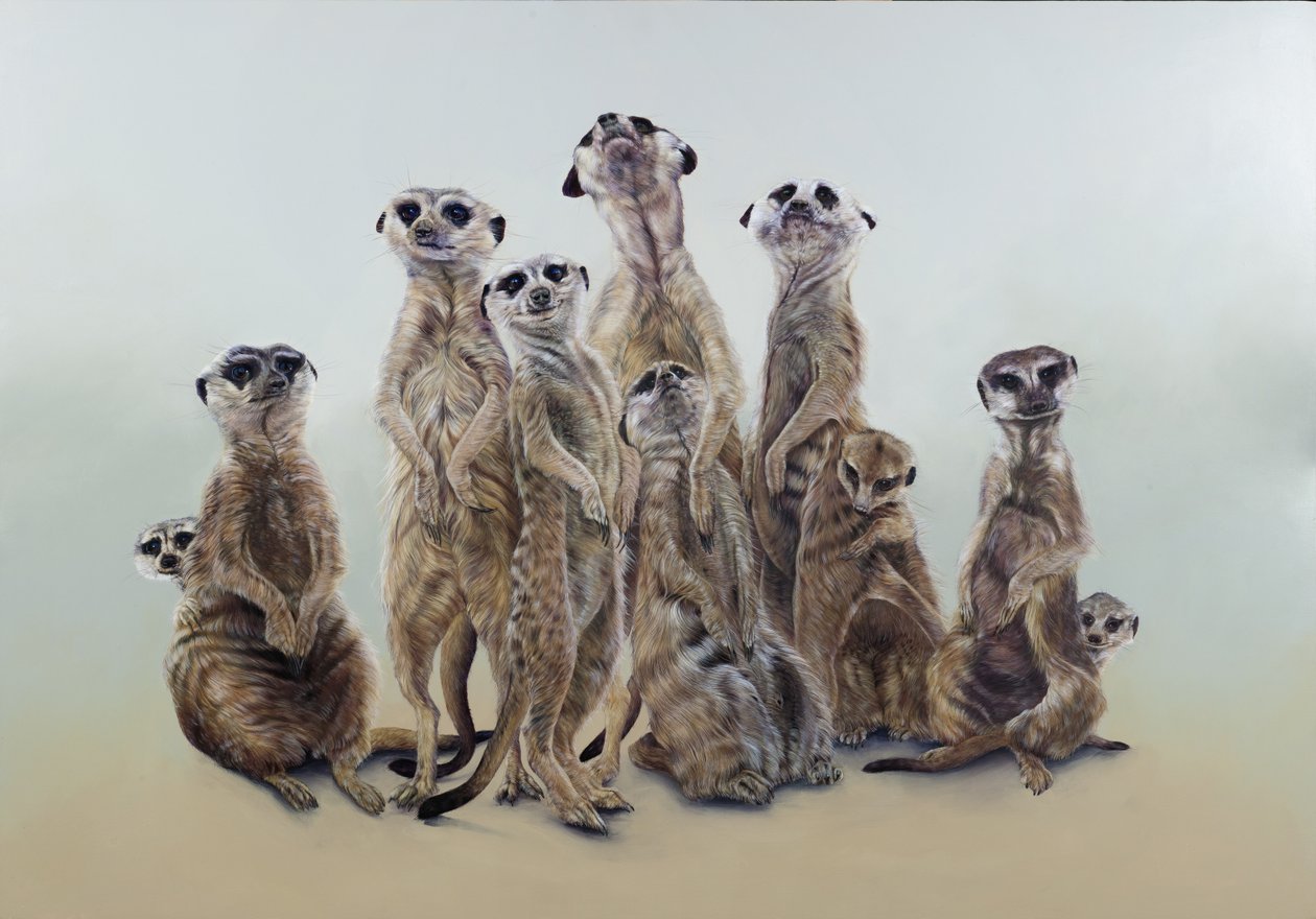 Meerkat mob, sun angels, 2013 (acrilico su legno gesso) da Odile Kidd
