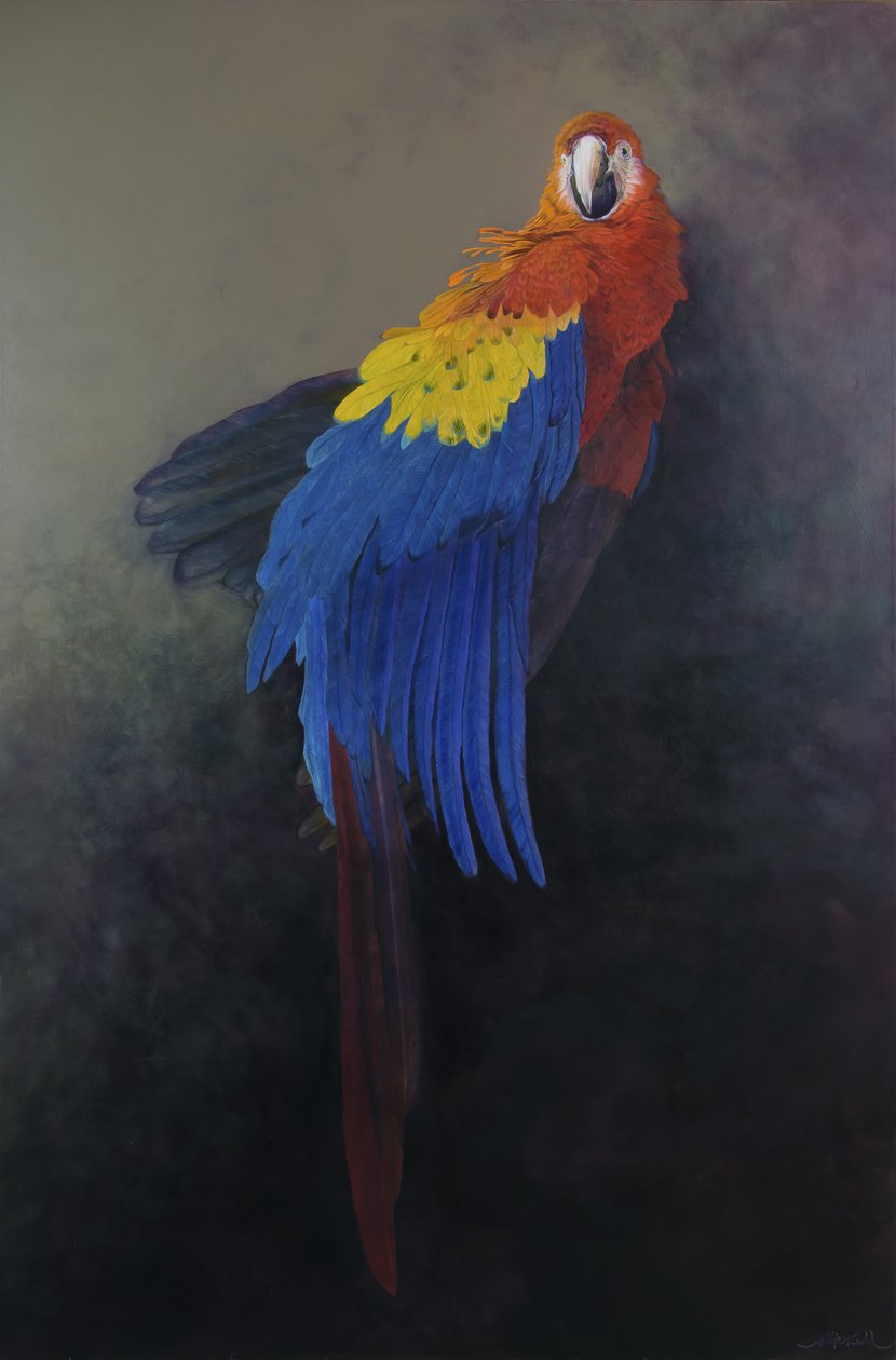 Ara scarlatta 3, 2014 (acrilico su lino) da Odile Kidd