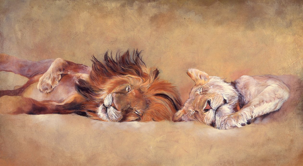 Siesta da Odile Kidd