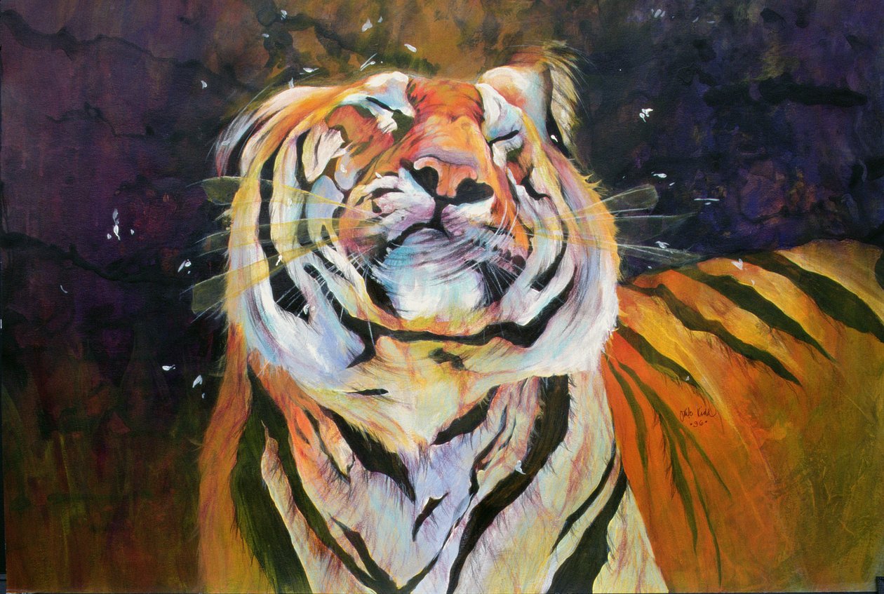 Tiger (Shaking Head) 1996 (inchiostri, acrilici e matita su carta) da Odile Kidd