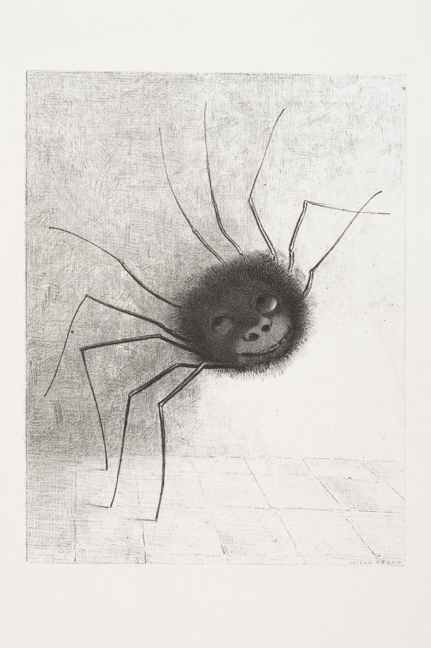 Ragno sorridente, c.1881 da Odilon Redon