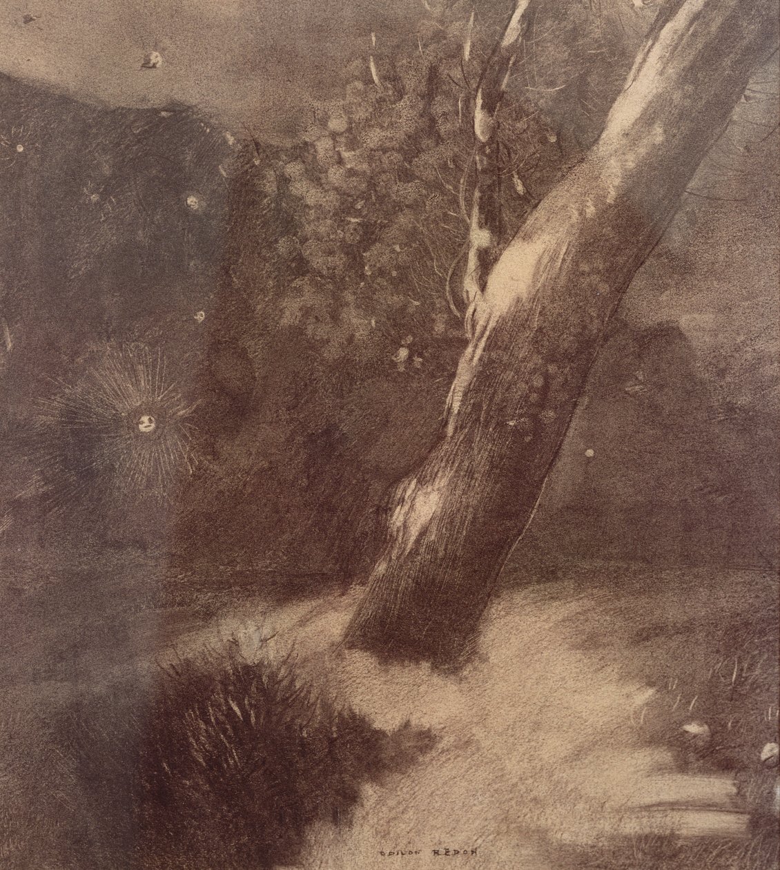 Albero e stelle da Odilon Redon