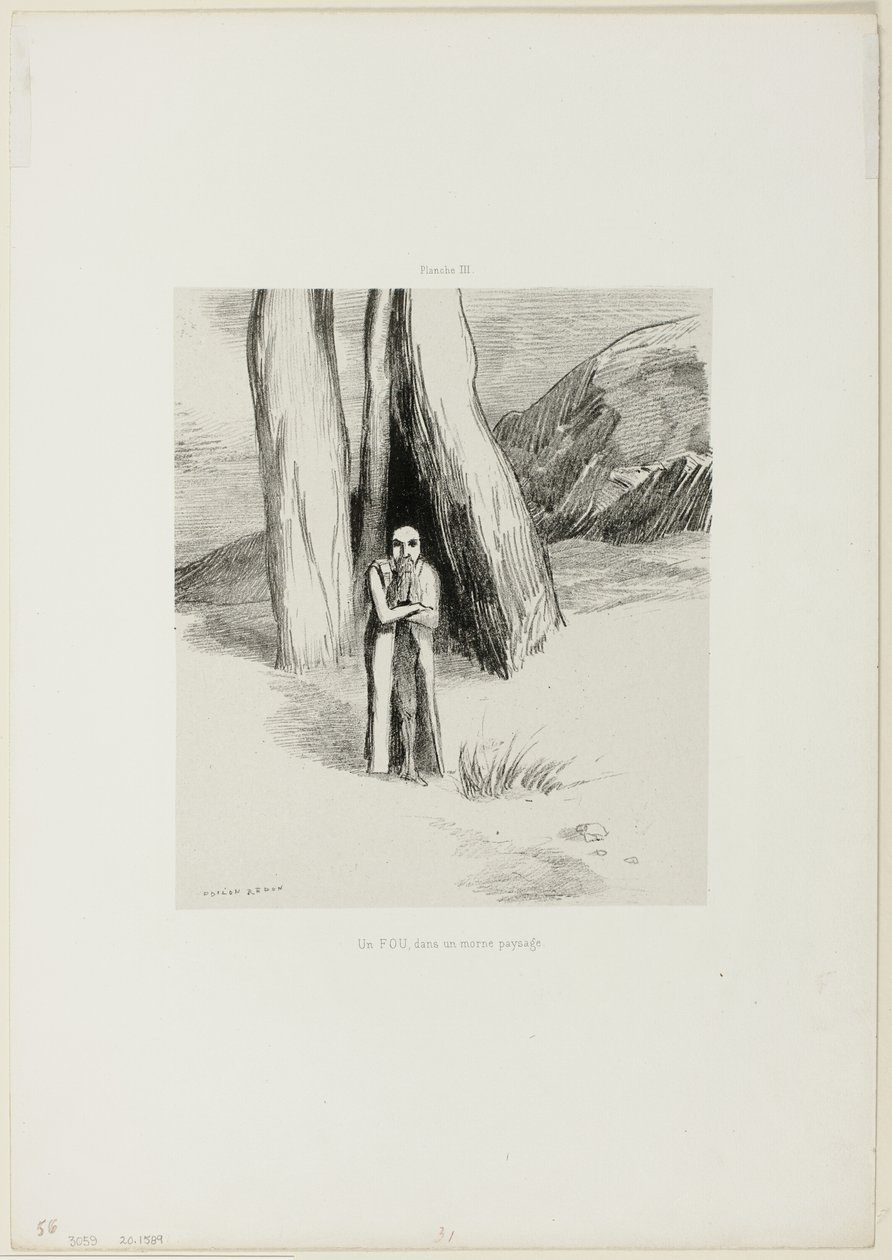 Un pazzo in un paesaggio tetro, tavola 3 di 6 da Odilon Redon