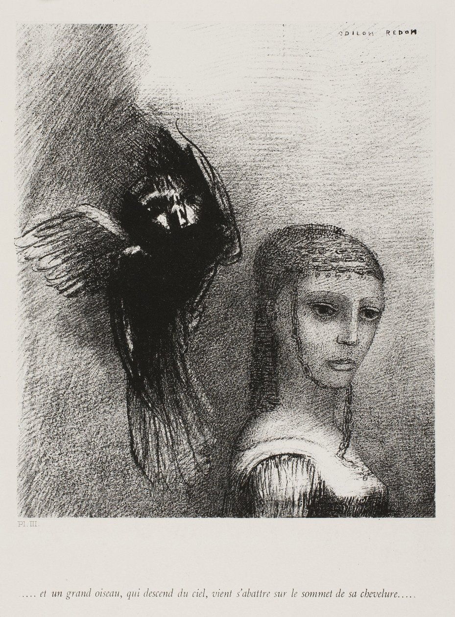 E un grande uccello, discendendo dal cielo, si scaglia contro la punta più alta dei suoi capelli, tavola 3 di 10, 1888 da Odilon Redon