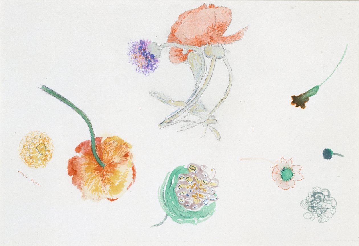 Schizzo di fiori da Odilon Redon